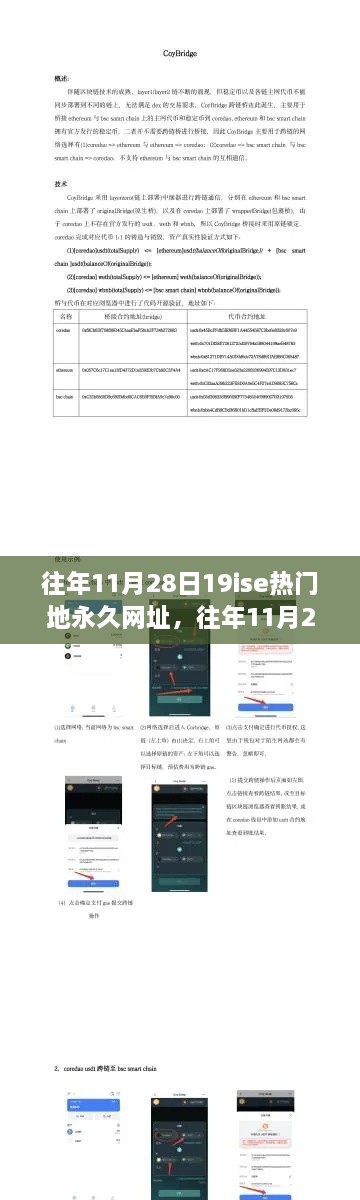 往年11月28日热门网站19ise永久网址解析与全面评测