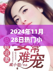 江策的魅力与影响，以观察点2024年11月28日看热门小说的影响力