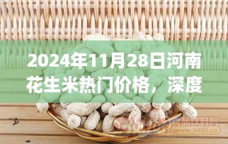 建议，深度解析，河南花生米热门价格与市场表现——2024年11月28日观察报告