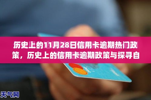 历史上的信用卡逾期政策与自然美景之旅，心灵觉醒的探寻之旅