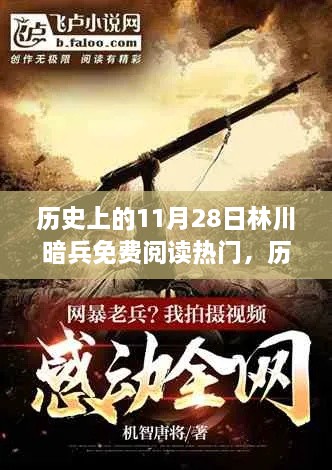 历史上的11月28日林川暗兵免费阅读背后的文化现象与争议探讨