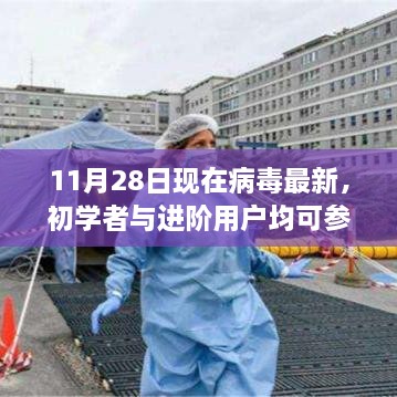 11月28日病毒防护最新指南，适合初学者与进阶用户的防护建议