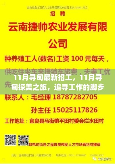 11月寻甸之旅，工作机会与美景的双重探寻