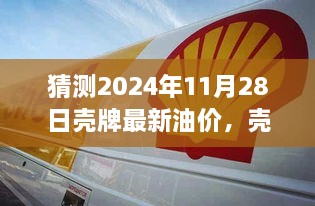 壳牌最新油价预测，洞悉2024年11月28日的行业洞察与体验分析