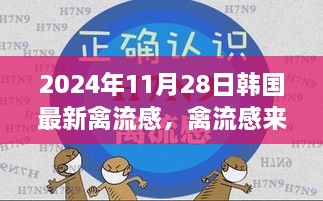 韩国禽流感来袭，日常故事中的温馨时刻（2024年11月28日最新报道）