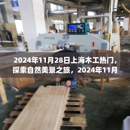 探索自然美景之旅，揭秘上海木工热潮背后的故事