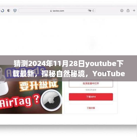 心灵洗涤之旅，探秘自然秘境，YouTube下载最新之旅（2024年11月28日）