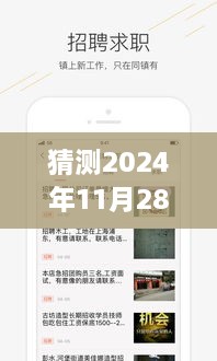 2024年12月1日 第43页