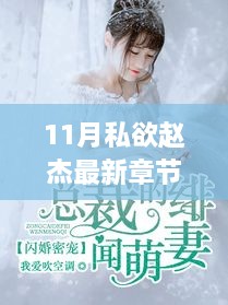 11月私欲赵杰最新章节阅读及深度书评介绍