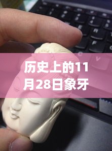 历史上的11月28日象牙价格深度解析，特性、体验、竞品对比与目标用户分析