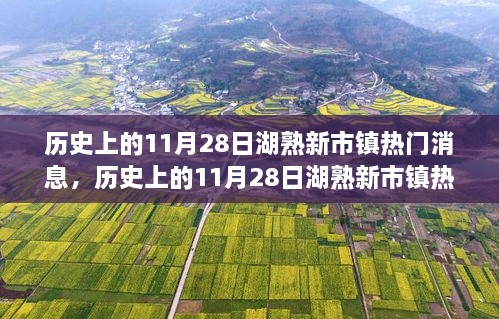 历史上的湖熟新市镇，揭秘11月28日的热门消息与全面评测介绍