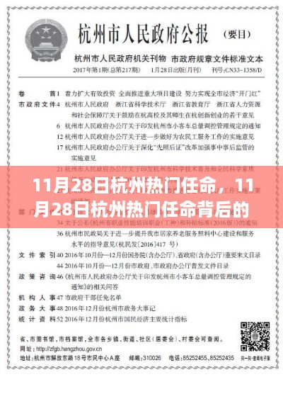 11月28日杭州热门任命背后的深度探析与观点探析