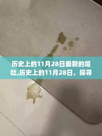 探寻历史上呕吐现象背后的秘密，历史上的11月28日揭秘日与呕吐事件纪实