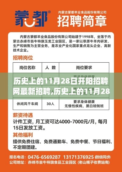 历史上的11月28日开阳招聘网最新招聘信息回顾与展望