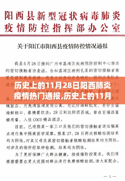 历史上的阳西肺炎疫情通报深度评测与热点回顾——聚焦11月28日数据