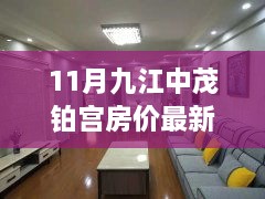 九江中茂铂宫最新房价指南，11月房价动态及获取最新信息方法（初学者进阶版）