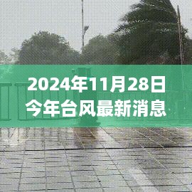 台风影响下的独特小店之旅，探秘隐藏美味与小巷风情