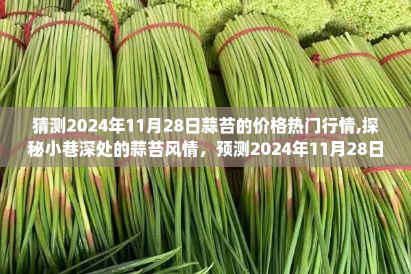 探秘小巷深处的蒜苔风情，预测2024年11月28日蒜苔价格热门行情展望