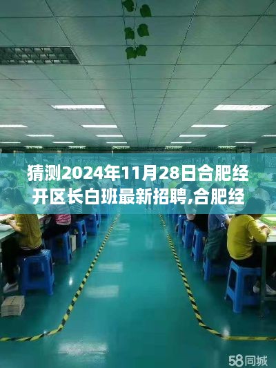 合肥经开区长白班最新招聘预测及职业机遇探索，2024年11月28日展望