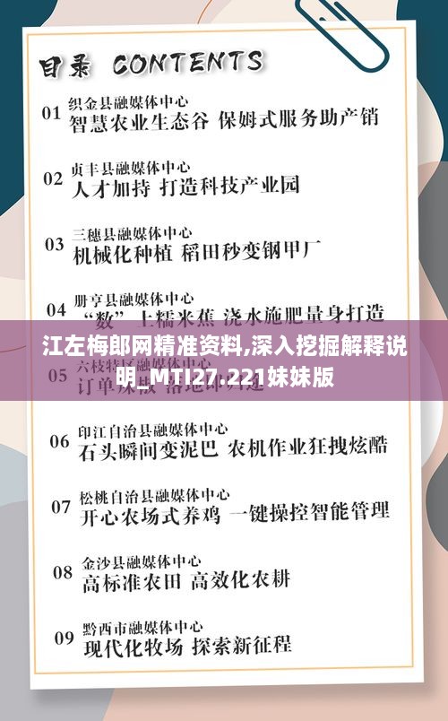 江左梅郎网精准资料,深入挖掘解释说明_MTI27.221妹妹版