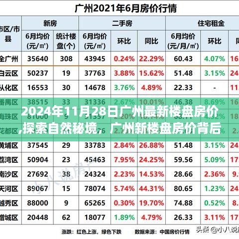 广州新楼盘房价探索，宁静秘境的心灵之旅（2024年11月28日）