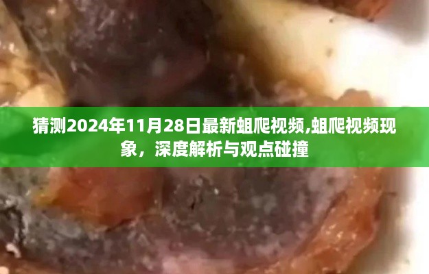 深度解析与观点碰撞，蛆爬视频现象及最新预测