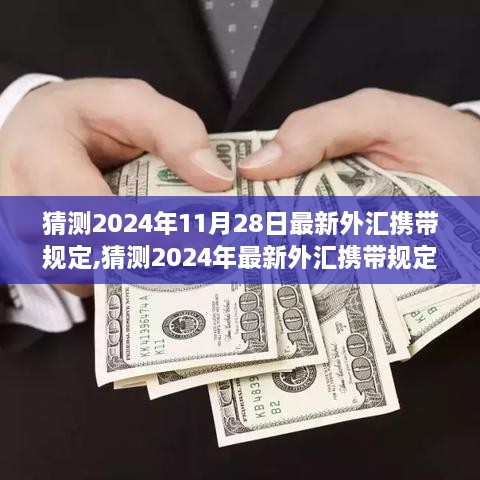 洞悉未来趋势，揭秘2024年外汇携带新规，个人财务规划指南