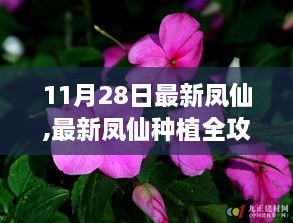 2024年12月1日 第4页