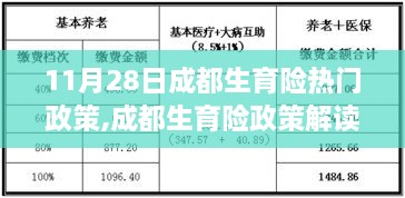 11月最新解读，成都生育险政策详解与申请流程指南