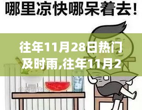 往年11月28日热门及时雨产品深度解析，特性、体验、对比及用户群体分析综述