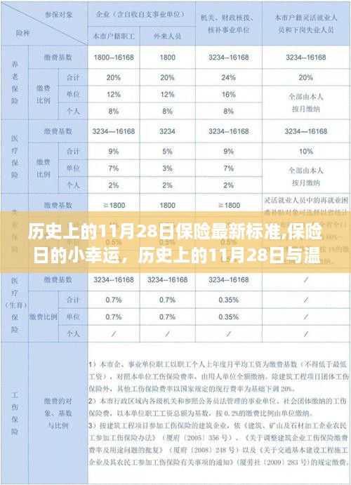 历史上的11月28日，保险标准更新与温馨保障故事回顾