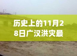 2024年12月2日 第41页