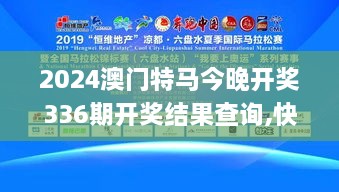 2024澳门特马今晚开奖336期开奖结果查询,快速实施解答研究_EPQ16.726内容版