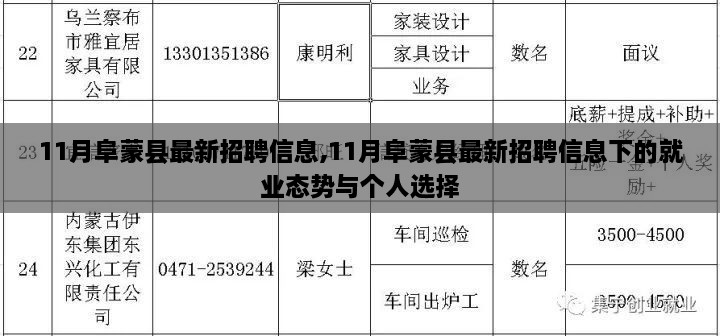 11月阜蒙县最新招聘信息及就业态势下的个人选择分析