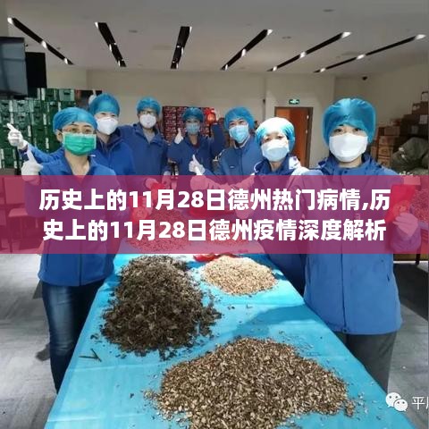 历史上的11月28日德州疫情深度解析与热门病情回顾