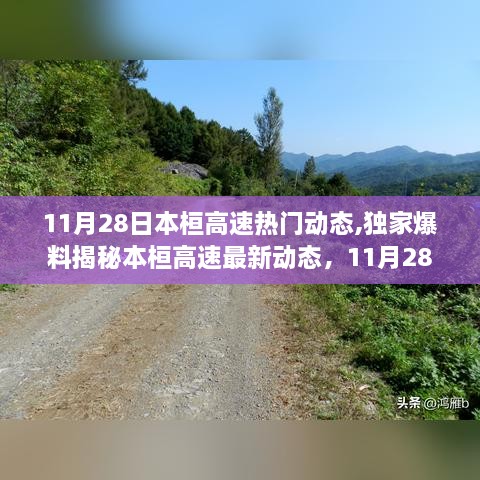 揭秘本桓高速最新动态，11月28日震撼更新