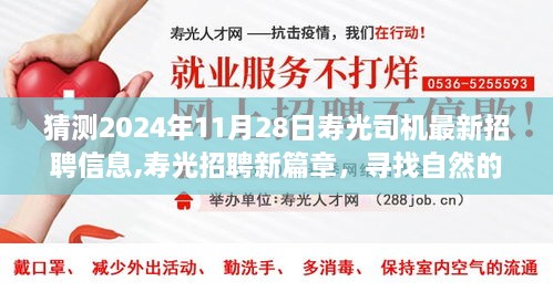 寿光最新招聘篇章，启程于2024年11月28日的驾驶之旅