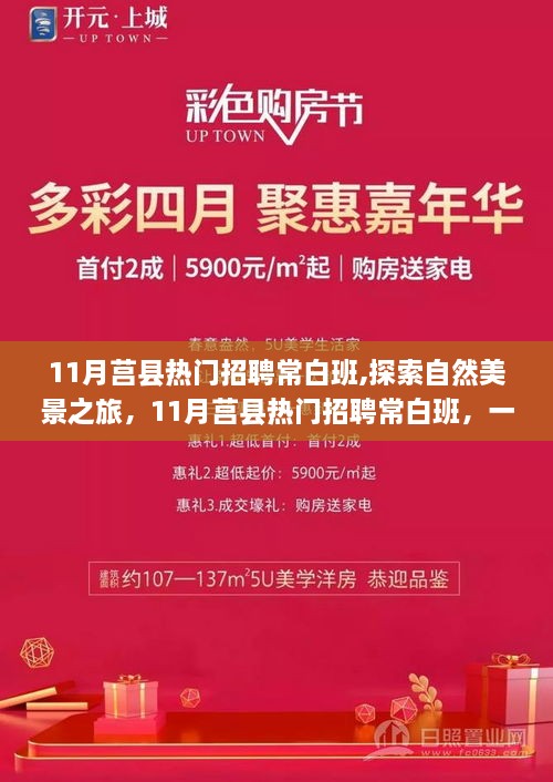 11月莒县常白班招聘启事及自然美景探索之旅，追寻内心的宁静与平和