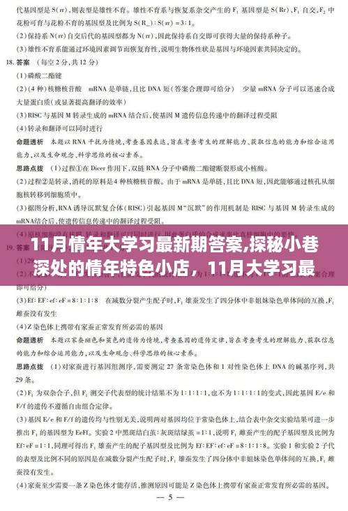 探秘小巷深处的情年特色小店，揭秘11月大学习最新答案背后的故事