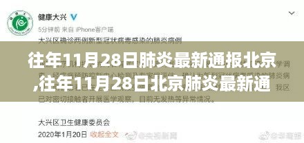 北京往年11月28日肺炎最新通报查询全攻略及健康信息获取指南