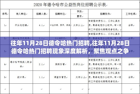 深度解析，往年11月28日德令哈热门招聘现象，聚焦观点之争与趋势展望