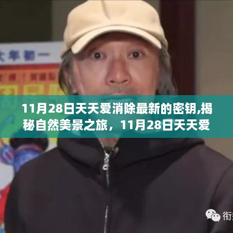 揭秘天天爱消除最新密钥，自然美景之旅，带你远离尘嚣寻找内心平静！