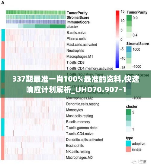 337期最准一肖100%最准的资料,快速响应计划解析_UHD70.907-1