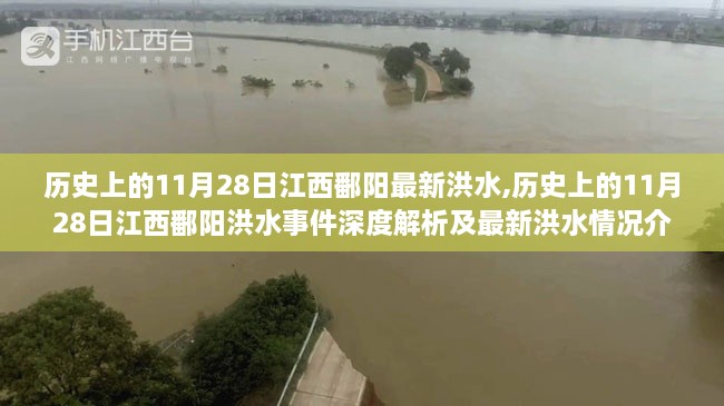 历史上的11月28日江西鄱阳洪水事件深度解析与最新洪水情况介绍