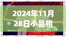 2024年小品相声视频全集观看指南，从初学者到进阶用户的一站式指南