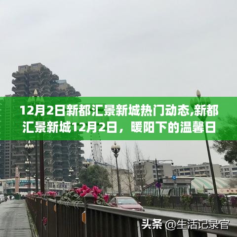 新都汇景新城12月2日温馨日常与友情分享日