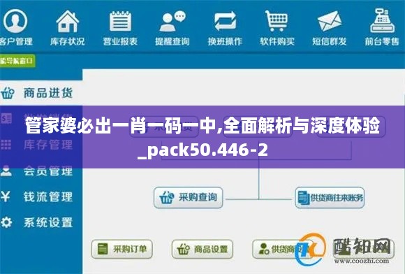 管家婆必出一肖一码一中,全面解析与深度体验_pack50.446-2