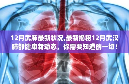 揭秘武汉肺炎十二月最新动态，肺部健康新进展全解析