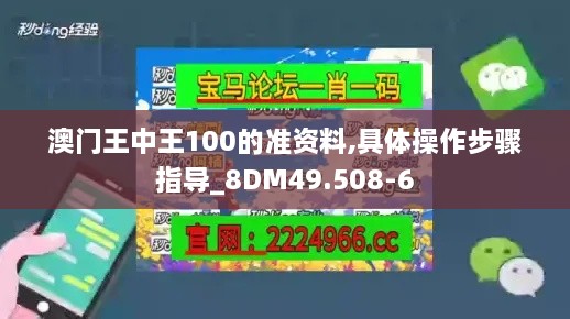 澳门王中王100的准资料,具体操作步骤指导_8DM49.508-6