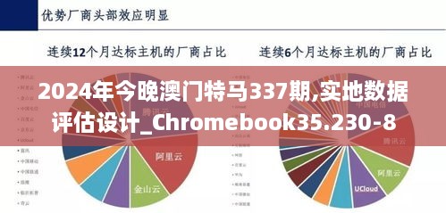 2024年今晚澳门特马337期,实地数据评估设计_Chromebook35.230-8